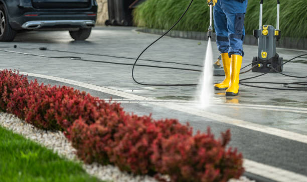 Best Affordable Pressure Washing  in East Lake, FL