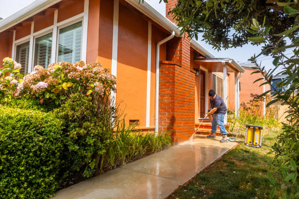 Professional Pressure Washing in East Lake, FL