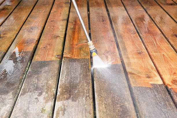 Fence Pressure Washing in East Lake, FL