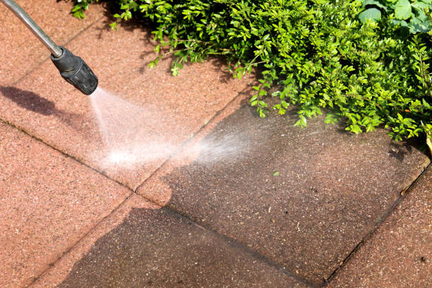 Pressure Washing Services for Businesses in East Lake, FL